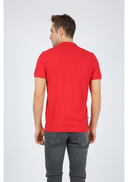 Classic Erkek Polo Yaka Pike Tişört fırsatları