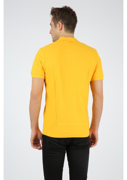 Classic Erkek Polo Yaka Pike Tişört modelleri