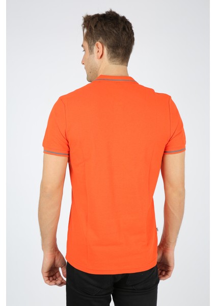 Sport Erkek Polo Çizgili Yaka Tişört modelleri