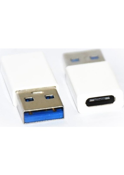 TC30 Type-C 3.1 To USB 3.0 Çevirici Dönüştürücü Mini Otg Adaptör Beyaz