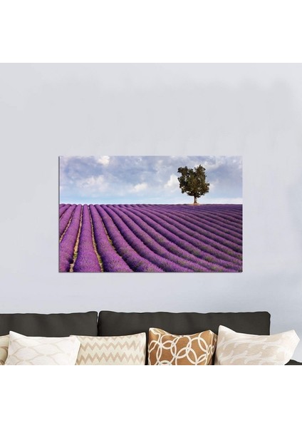 Lavanta Tarlası Fotoğraf Kanvas Tablo