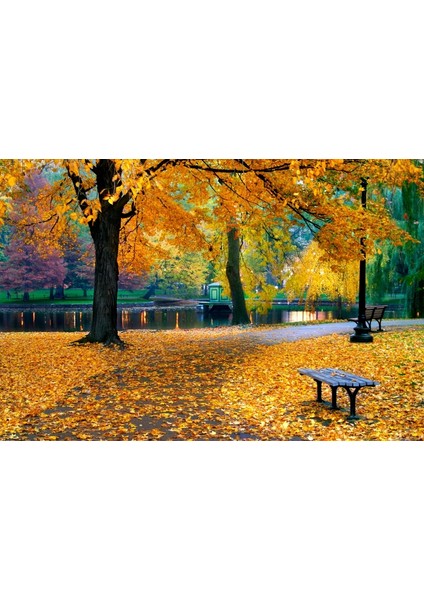 Parkta Sonbahar Fotoğraf Kanvas Tablo fiyatları