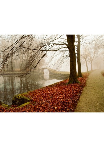 Parkta Sonbahar Fotoğraf Kanvas Tablo