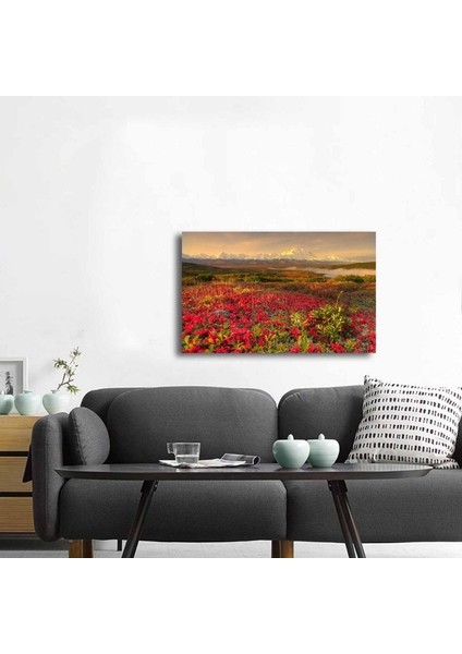 Kırmızı Çiçekler Manzara Fotoğraf Kanvas Tablo