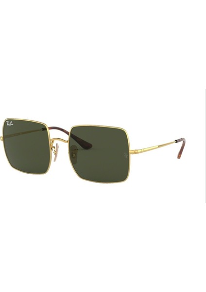 0RB1971-91473154 Unisex Güneş Gözlüğü
