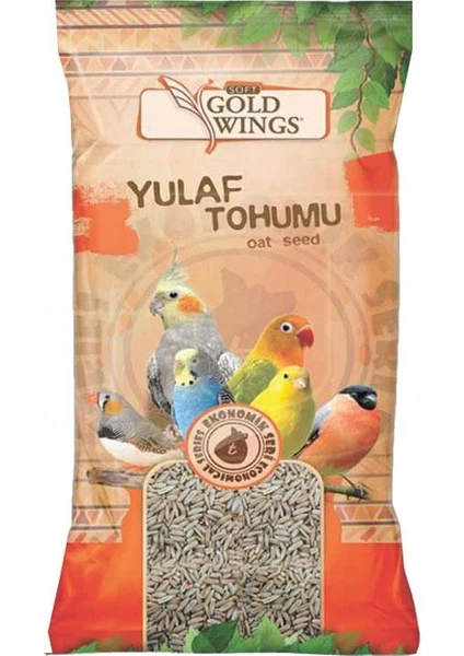 Gold Wings Yulaf Tohumu 300 gr