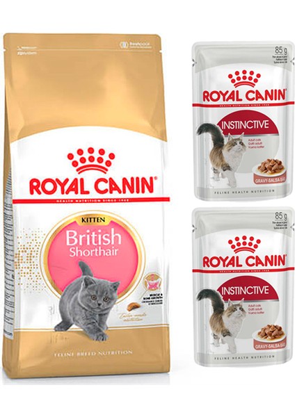 British Shorthair Kitten Yavru Kedi Maması 2 kg + Royal Canin Parça Etli Yaş Mama 2 Adet
