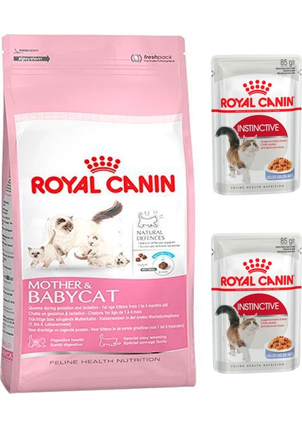 Mother & Baby Kitten Yavru Kedi Maması 2 kg + Royal Canin Yetişkin Yaş Maması 2 Adet