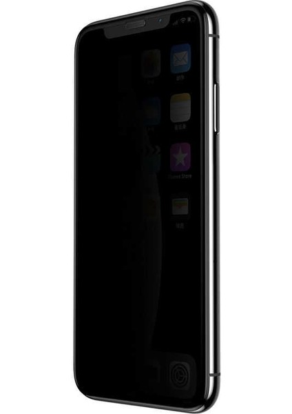 Apple iPhone 11 Privacy Görünmez Hayalet Ekran Koruyucu Cam