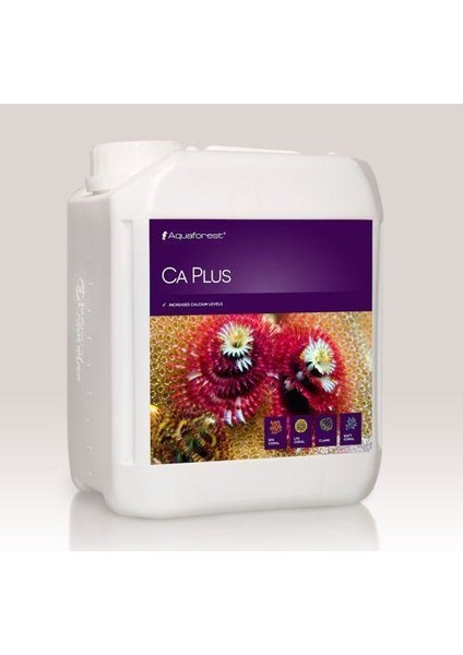 - Ca Plus 2000Ml