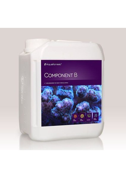 - Component B 2000Ml