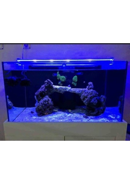 Led Aydınlatma Armatür Royal Mavi 60Cm