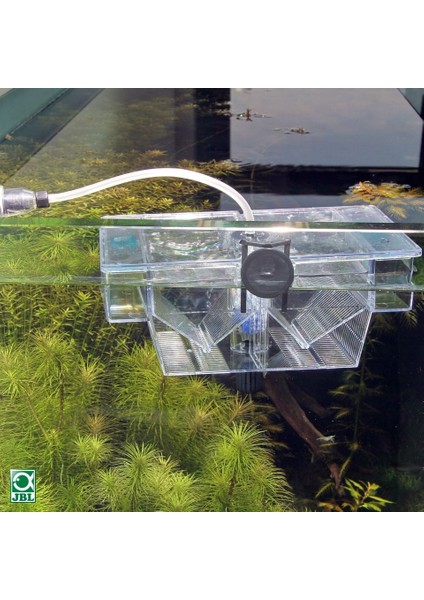 Babyhome Oxygen fiyatları