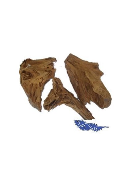 Mangrow Kökü Medium 35-45Cm.