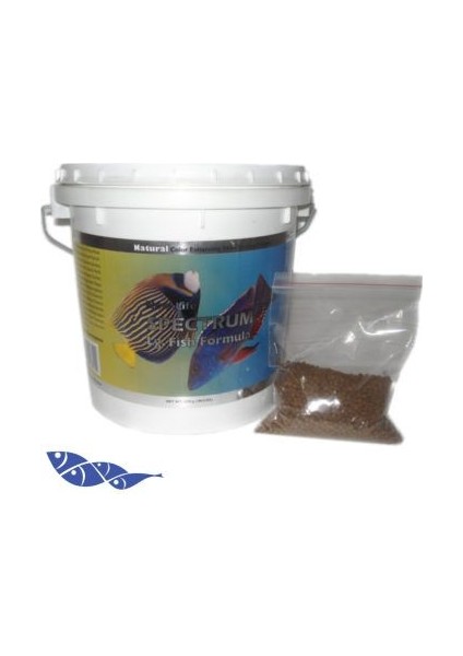 Large Fish Formula 50Gr Açık