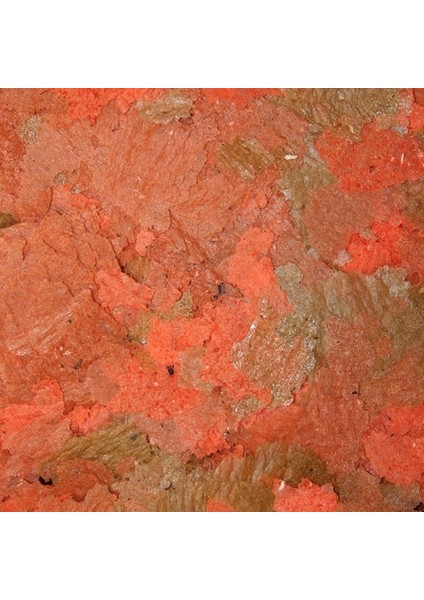 Cichlid Flakes 50Gr Açık