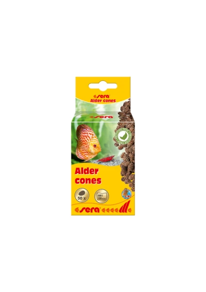 Alder Cones Kızılağaç Kozalağı 50Adet