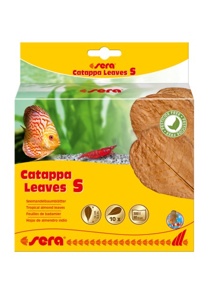Catappa Leaves 14Cm S 10Adet