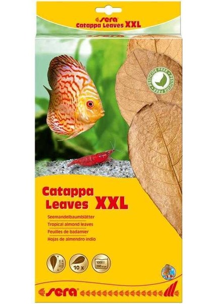 Catappa Yaprağı Xxl 32Cm 10 Adet