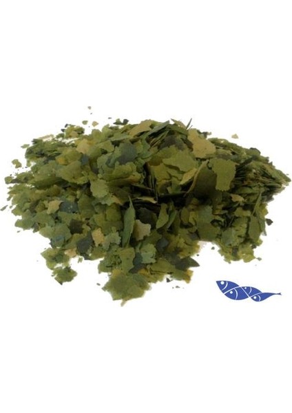 Phyll 250Gr. Açık