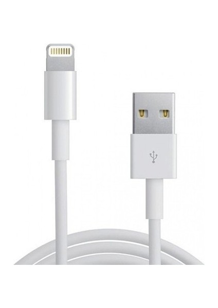 Foxconn Lightning Data ve Şarj Kablosu