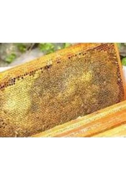 Sıvas Yıldızeli Çiçek Petek Yayla Balı 3200 gr fiyatları