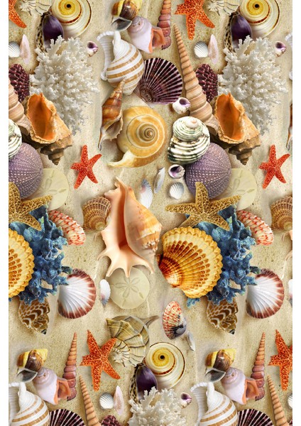 Kaymaz Taban Yıkanabilir Renkli Deniz Kabukları Tasarımlı Dijital Baskılı Halı fiyatları