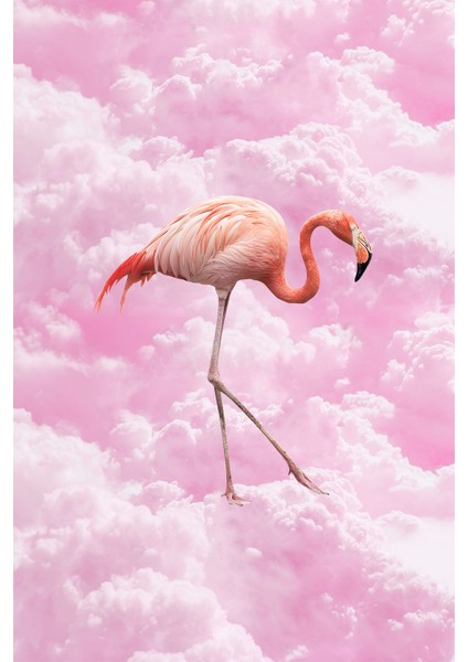 Kaymaz Taban Yıkanabilir Hayal Flamingo Dijital Baskılı Halı