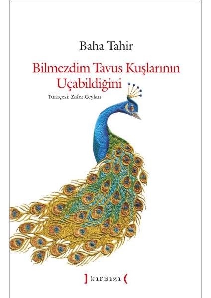 Bilmezdim Tavus Kuşlarının Uçabildiğini