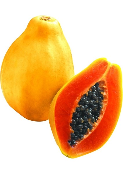 Bodur Saksılık Papaya Ağacı Tohumu 3'lü