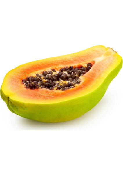 Tropikal Meyve Papaya Ağacı Tohumu 3'lü fiyatları