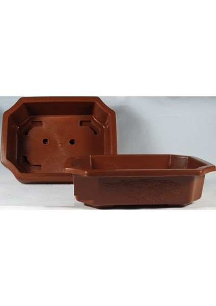 Bodur Liquidamber Bonzai Ağacı Ekim Seti 5'li Saksı Toprak Kombin fırsatları