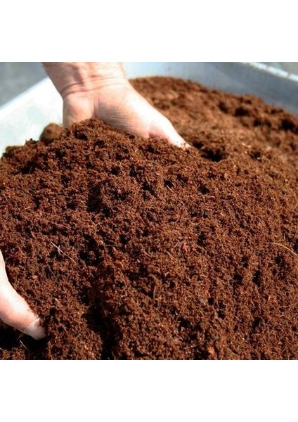 Karışık Küpeli Çiçeği Ekim Seti 5'li Saksı Toprak