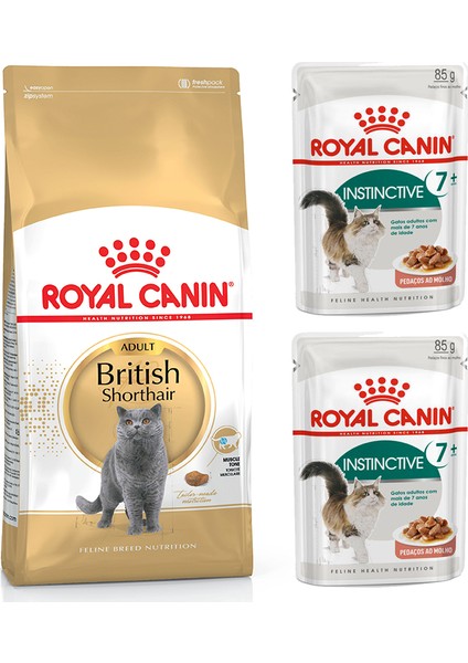 Adult Yetişkin British Shorthair Kedi Maması 2 kg + Royal Canin Instinctive +7 Yetişkin Yaş Kedi Maması 2 Adet