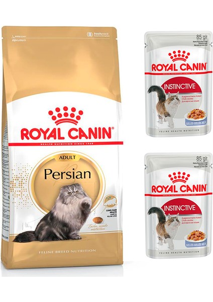 Adult Yetişkin Persian Kedi Maması 2 kg + Royal Canin Yetişkin Jel Kedi Maması 2 Adet