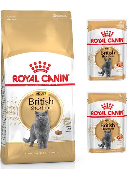 Adult Yetişkin British Shorthair Kedi Maması 2 kg + Royal Canin Yetişkin British Shorhair Yaş Maması 2 Adet