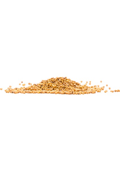 Hardal 500 gr (Pet) fiyatları
