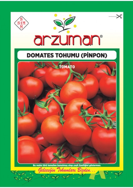 Sebze Chery Pinpon Domates Tohum 10 gr