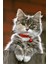 Kaymaz Taban Yıkanabilir Kedi Desenli Dijital Baskılı Halı RSP68 2