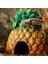 Ex Pineapple Saklanma Alanı 3