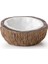 Ex Coconut Su Kabı 1
