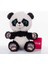 Renkli Gözlü Sevimli Panda 15 cm Peluş Oyuncak 1