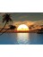 Palmiye Ağaçları ve Gün Batımı Kanvas Tablo 2