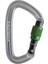 Black Diamond  Positron Screwgate Carabiner Karabina 1