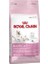 Babycat 34 Yavru Kedi Maması 800Gr 1
