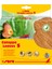 Catappa Leaves 14Cm S 10Adet 1