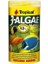 3-Algae Flakes (Açık) 1