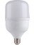 LED Torch Ampul 50 W Beyaz 1