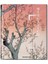 Hiroshige; One Hundred Famous Views Of Edo 1