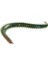 Salty Sensation Lugworm Silikon Yem / Boy: 11.5Cm Yeşil 1